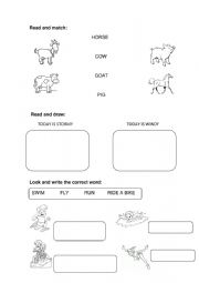 English Worksheet: ANIMALS  WEATHER  ACTIONS