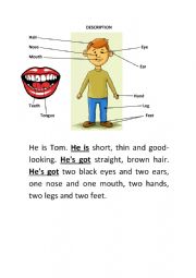 English Worksheet: Parts of the body and short description