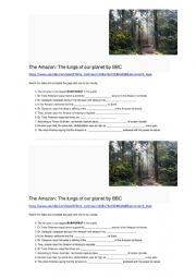 English Worksheet: Video activity about the Amazon Rainforest (Gap-fill, C1 level) Link, key and transcript provided 