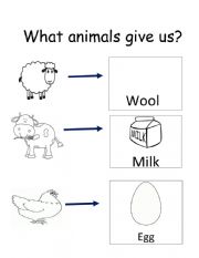 English Worksheet: what animals give us