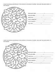 VOCABULARY MANDALA