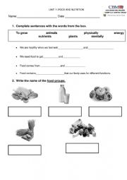 English Worksheet: food and healthy habits