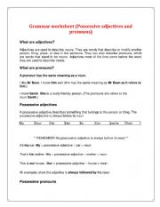 English Worksheet: Possessive Adjectives