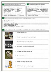 English Worksheet: Present Perfect (4)