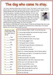 English Worksheet: The Stray Dog