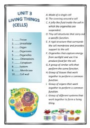 English Worksheet: CELLS