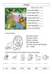 English Worksheet: Animal-adjectives-parts of the body