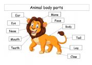 English Worksheet: animal body parts