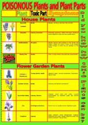 English Worksheet: Common Poisonous Plants and Plant Parts.