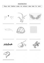 animal body parts