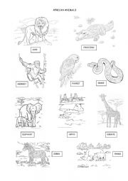 English Worksheet: AFRICAN ANIMALS