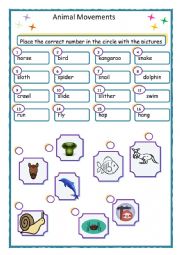 English Worksheet: Animal Movements