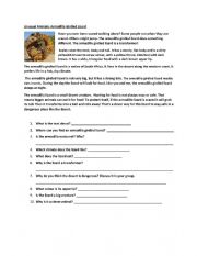 English Worksheet: Reading Elementary