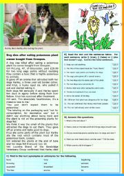 English Worksheet: Dog dies after eating a plant. Reading Comprehension + KEY