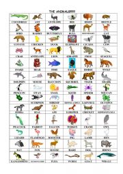 English Worksheet: The Animals
