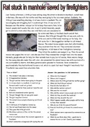 English Worksheet: Rat Rescue - a Reading Comprehension