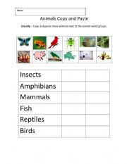 English Worksheet: Animals classification