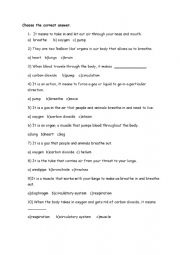 English Worksheet: organs