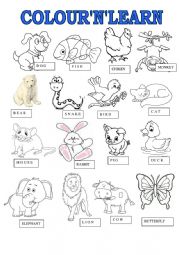 English Worksheet: Animals learncolour