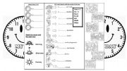 English Worksheet: daily routine