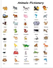 English Worksheet: 	ANIMALS   PICTIONARY SET 1 OF 3