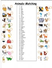 Animals  matching part 2 of a 3 set exercise worksheet