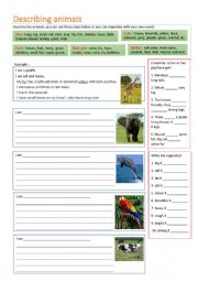 English Worksheet: Describing Animals