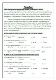 English Worksheet: Reading