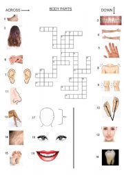 English Worksheet: body crossword