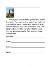 English Worksheet: Main idea animal adaptations