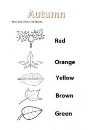 English Worksheet: Autumn