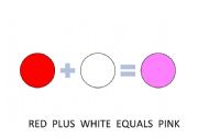 English Worksheet: Making Colours