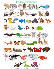 English Worksheet: ANIMALS  PICTIONARY 1 OF 3 exercise set