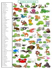 English Worksheet: 	ANIMALS  MATCHING SET 2 OF 3