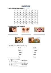 English Worksheet: Five senses