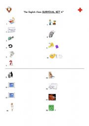 English Worksheet: SURVIVAL KIT