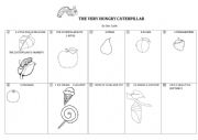 English Worksheet: The very hungry caterpillar