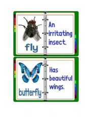English Worksheet: Flashcards - Insects With Descriptions 1