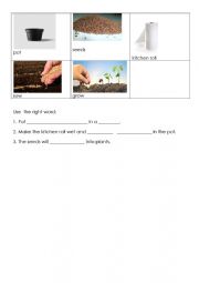 Vocab sheet for growing cress