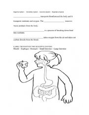 English Worksheet: body