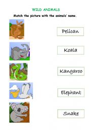 English Worksheet: Wild Animals