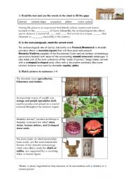 Cerro Jaboncillo Reading & Answers sheet