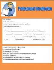 Professional Introduction