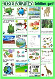 English Worksheet: Biodiversity - Definitions - Part 1 + KEY