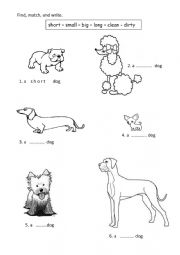 English Worksheet: Adjectives