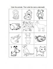 animal worksheet