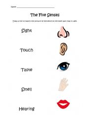 English Worksheet: 5 sense worksheet