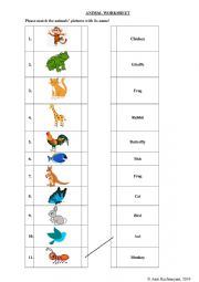 English Worksheet: Animal Worksheet