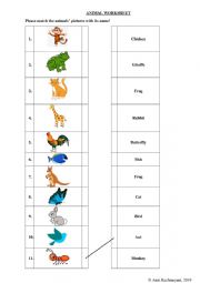 Animal Worksheet