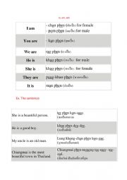 English Worksheet: Verb to be